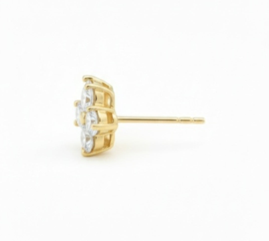 Signature Clover Codes (Classic)